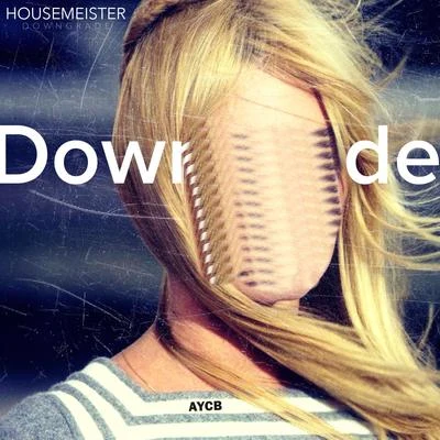 Downgrade 专辑 Housemeister