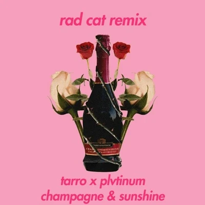 champagne sunshine (RA的cat remix) 專輯 Rad Cat/Armen Paul