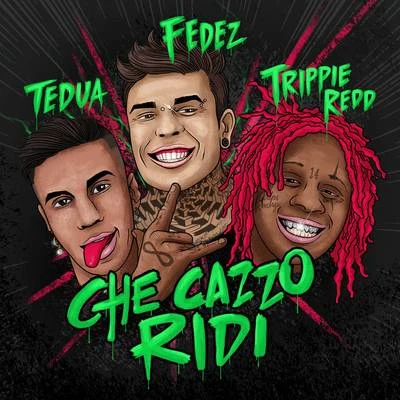 Che cazzo ridi 专辑 Fedez