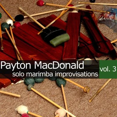 Solo Marimba Improvisations, Vol. 3 專輯 Payton MacDonald/Mark Berry