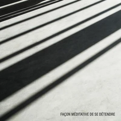 Façon Méditative de se Détendre - Concentration profonde, Thérapie de guérison ambiante, Méditation professionnelle, Sérénité et équilibre 專輯 Oasis de Musique Zen Spa/Zone de Détente/Zone de la Musique Relaxante