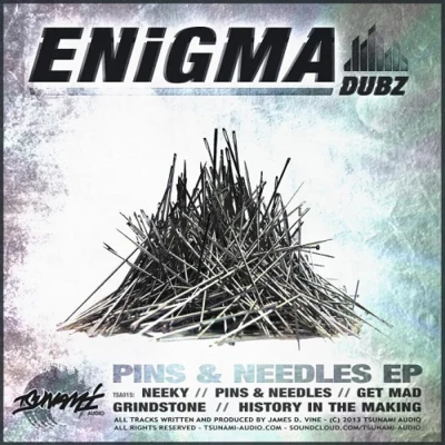 Pins N Needles 專輯 Hedara/ENiGMA Dubz