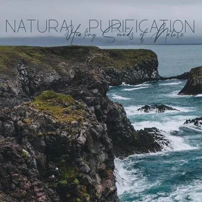 Natural Healing Music ZoneSoothing Music CollectionSoothing Sounds Natural Purification (Healing Sounds of Nature for Deep Body & Mind Regeneration)