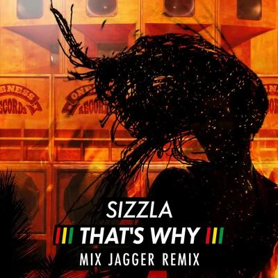 Thats Why (Mix Jagger Remix) 專輯 Sizzla/Vybz Kartel/Beres Hammond/Estelle/Beenie Man