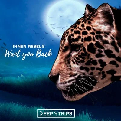 Want You Back 專輯 Shake Sofa/Inner Rebels