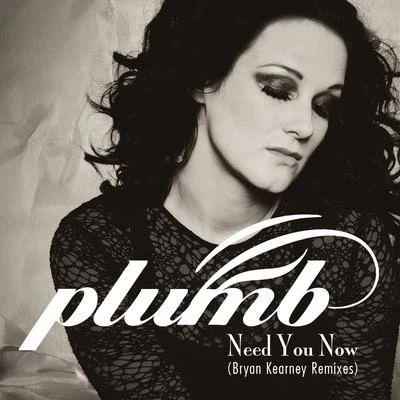 Need You Now (How Many Times) (Bryan Kearney Remixes) 專輯 Plumb