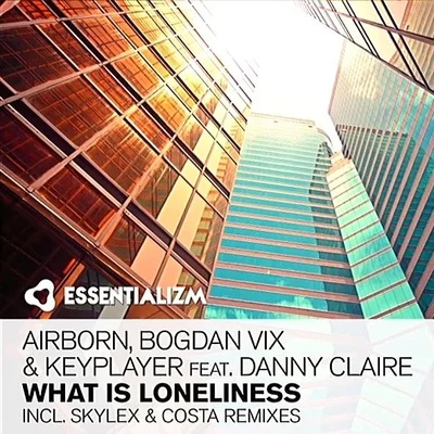 What Is Loneliness 專輯 Danny Claire/Danny Legatto/Davids/Subtractor/Quintino & Blasterjaxx