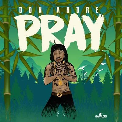 Pray 专辑 Don Andre