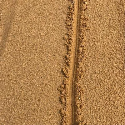 Line in the Sand 專輯 Denine/Collage/Collage & Denine