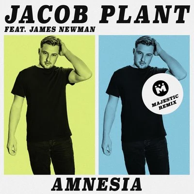 Jacob PlantEllie GouldingCalvin Harris Amnesia (Majestic Remix)