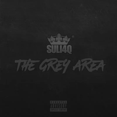 The Grey Area - Single 专辑 Suli4q