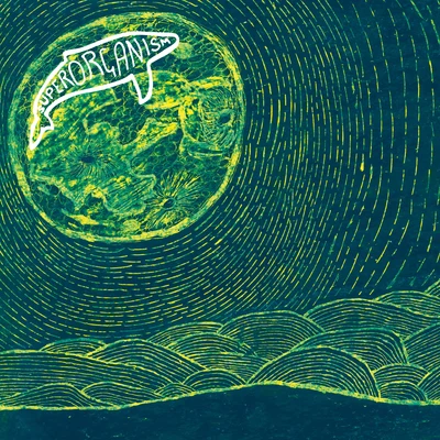 Night Time 專輯 Superorganism