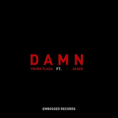 Young Flacasrryjordxnacaer DAMN (feat. Acaer)