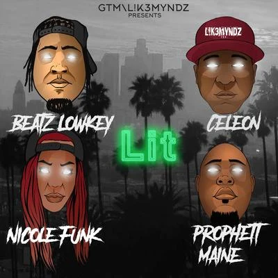 Lit (feat. Nicole Funk & Beatz Lowkey) 專輯 Cele0n/DJ Alex Funk