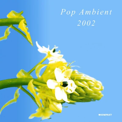 Pop Ambient 2002 專輯 Diverse