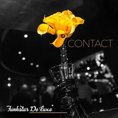 Contact 专辑 Stonetribe/Funkstar de Luxe