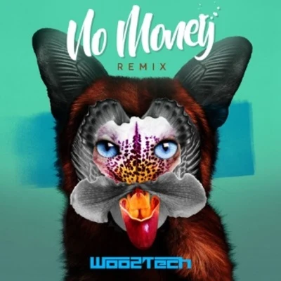 No Money (Woo2tech Remix) 專輯 Gabriel Boni/Woo2tech