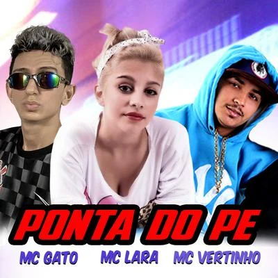 Ponta do Pé 专辑 Mc Ch da Z.O/MC 2K/MC Vertinho