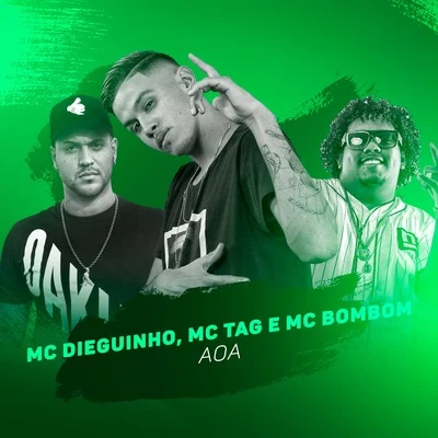 AOA 专辑 MC New/MC Dieguinho/Gabriel Medeiros/MC Barone/MC Tag