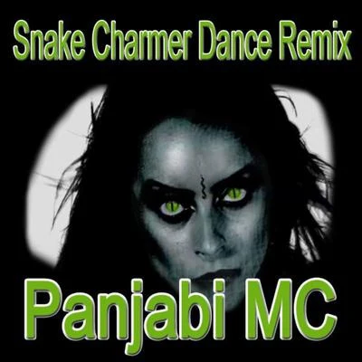 Snake Charmer 专辑 Panjabi MC/Ashok Gill