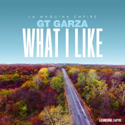 What I Like 专辑 GT Garza