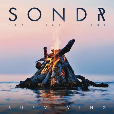 Sondr Surviving