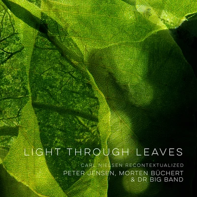 Light Through Leaves 專輯 DR Big Band