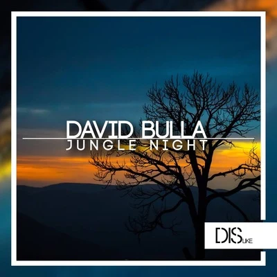 David BullaAitor Blond Jungle Night