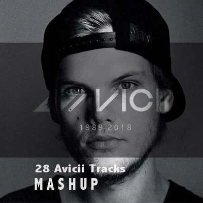 Avicii 28 mashup 專輯 RIVA/Moison