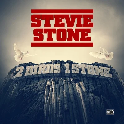 2 Birds 1 Stone 專輯 Stevie Stone