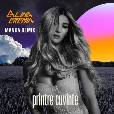 Printre Cuvinte (Manda Remix) 專輯 Alina Eremia/Nane