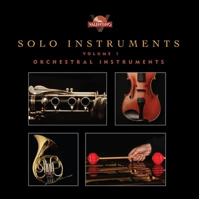 Solo Instruments, Vol. 1: Orchestral Instruments 專輯 Eddy J/Hyppo/Valentino/Middle/Sea Words