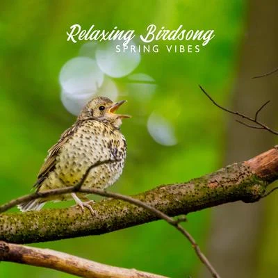 Relaxing Birdsong - Spring Vibes, Great Mood, Happiness 專輯 Natural Healing Music Zone/Total Relax Zone/Mantra Music Center