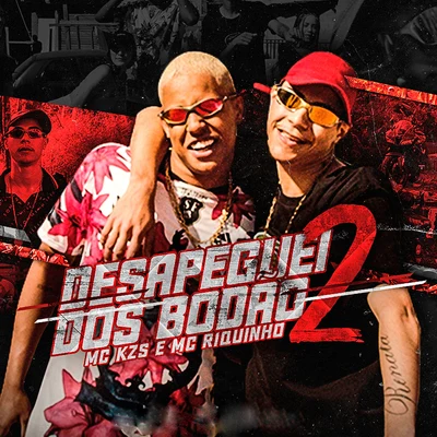 Desapeguei Dos Bodão 2 专辑 MC KZS