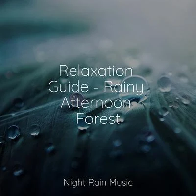 Relaxation Guide - Rainy Afternoon Forest 專輯 Alpha Waves