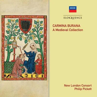 Carmina Burana 專輯 Philip Pickett