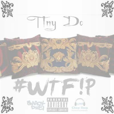 #WTF!P (What the **** Is a Pillow) - Single 專輯 Neph West/Tiny DC