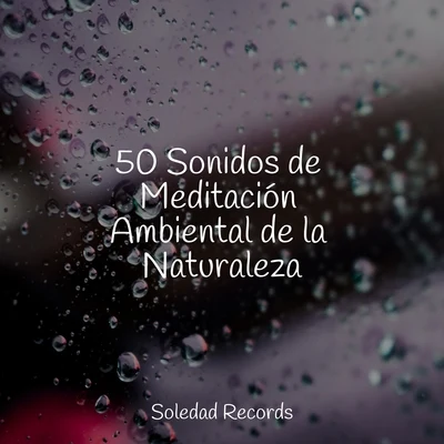 Dormir e MeditarMaestros de música de la meditaciónMusica Relajante Specialistas 50 Sonidos de Meditación Ambiental de la Naturaleza