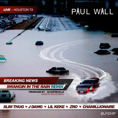 Swangin In the Rain (Remix) [feat. Slim Thug, J-Dawg, Lil Keke, Z-Ro, & Chamillionaire] - Single 專輯 Frost4eva/Paul Wall/Q Bosilini