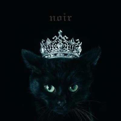 Aimer BEST SELECTION "noir"