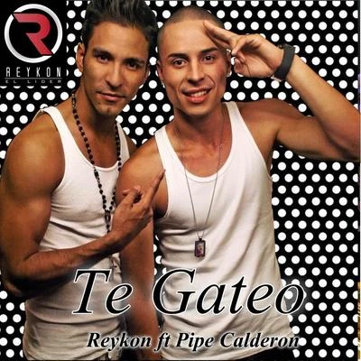 Te Gateo 专辑 Milo K/Reykon