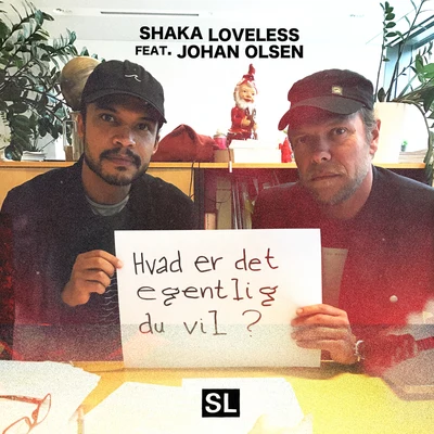 Hvad Er Det Egentlig Du Vil 专辑 Shaka Loveless/Wafande