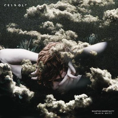 Quantum Immortality (Radio Edit) 专辑 Alone Architect/Crywolf