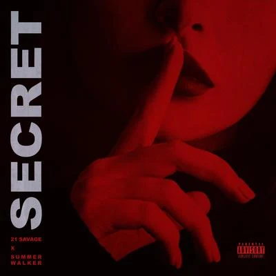 Secret 專輯 21 Savage/Logic/2Pac/YoungBoy Never Broke Again/Rick Ross