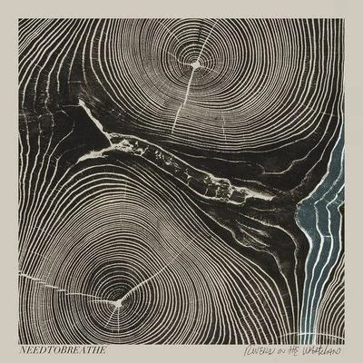 Rivers In the Wasteland 專輯 Needtobreathe