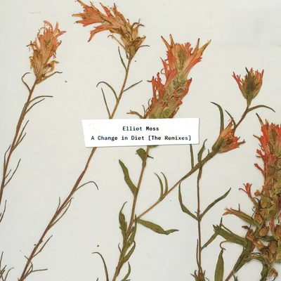 A Change in Diet (The Remixes) 专辑 Elliot Moss