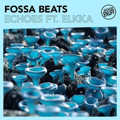 Echoes 專輯 Fossa Beats