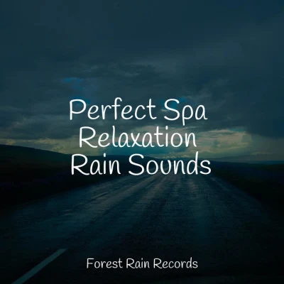 Perfect Spa Relaxation Rain Sounds 專輯 Academia de Música para Massagem e Relaxamento/Study Power/Ocean Sounds