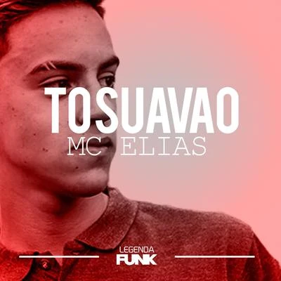 To Suavão 專輯 Mc Elias/Davi Kneip