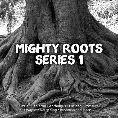 Sizzla Mighty Roots Series. 1